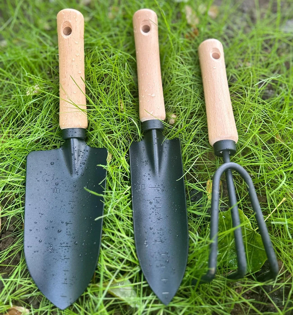 Minimalist Gardening Tool Set with Wooden Handles - 3-Piece Set Including Narrow Trowel, Wide Trowel, and Garden Rake for Succulent Transplanting